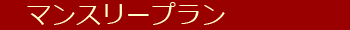 マンスリープラン